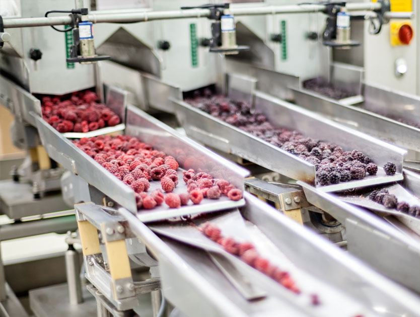 Berrys on production line